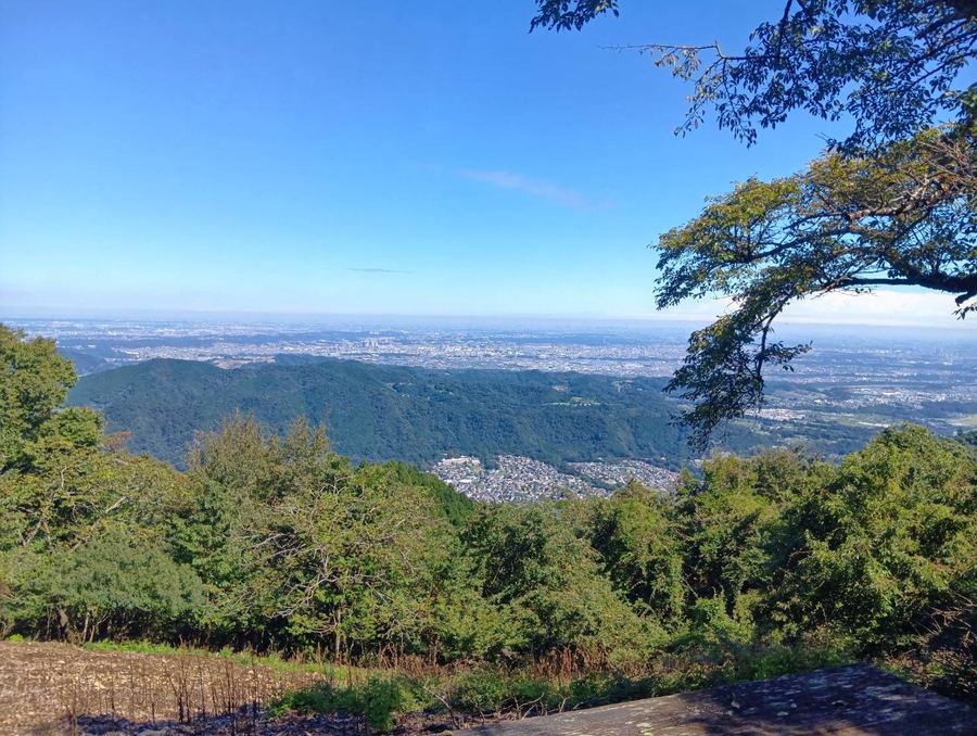 山の上から市街地と緑の山並みを望む