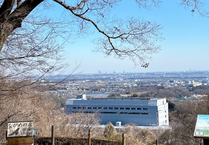 七沢森林公園の展望スポットから見える景色